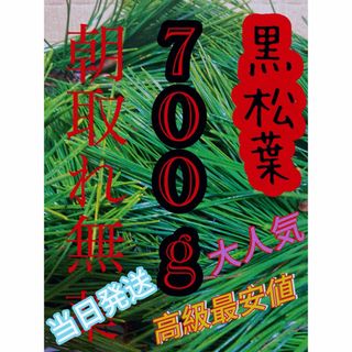 即購入可　即日発送　岡山県　黒松　枝付き松葉　生葉　無農薬　松の葉(野菜)