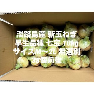 兵庫県 淡路島産 新玉ねぎ M～2L 無選別 10kg早生品種 七宝 38個前後(野菜)