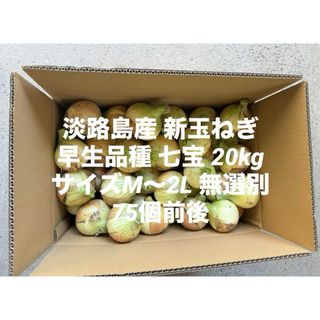 兵庫県 淡路島産 新玉ねぎ M～2L 無選別 20kg早生品種 七宝 75個前後(野菜)