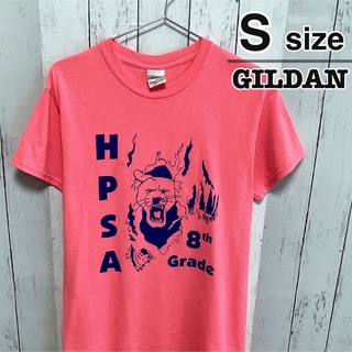 ギルタン(GILDAN)のUSA古着　GILDAN　Tシャツ　S　ピンク　アニマル　ライオン　ロゴ　クラス(Tシャツ/カットソー(半袖/袖なし))