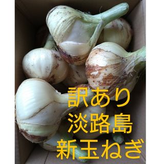 訳あり淡路島たまねぎ3㎏(野菜)