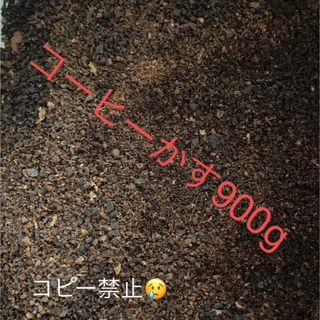 コーヒーかす　900g(その他)