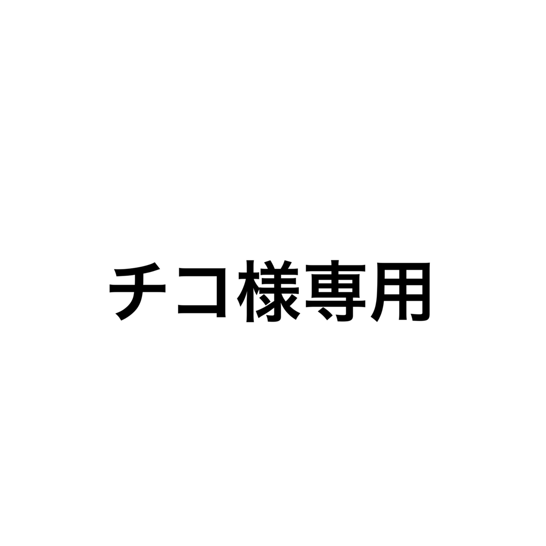 専用 エンタメ/ホビーのタレントグッズ(その他)の商品写真