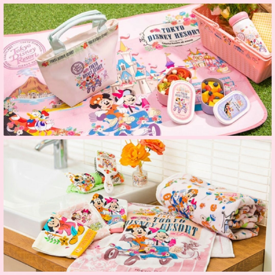 Disney(ディズニー)の最新🌷スリーブ付きカードホルダー　ディズニーリゾートインブルーム🌷 レディースのファッション小物(名刺入れ/定期入れ)の商品写真