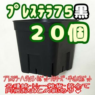 【スリット鉢】プレステラ75黒20個 多肉植物 プラ鉢(プランター)