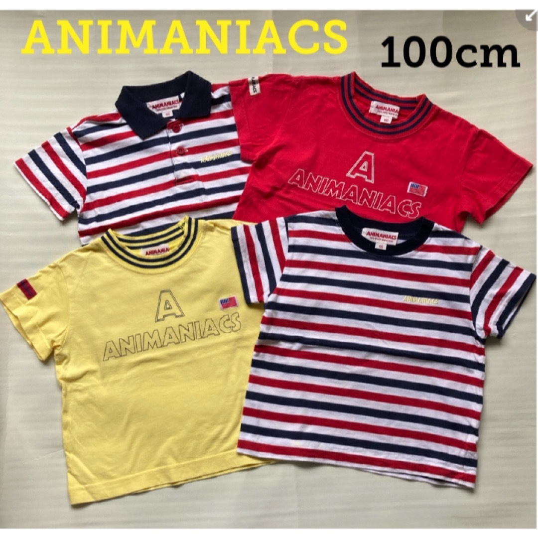 ANIMANIACS  子供服　キッズ　シャツ　100cm キッズ/ベビー/マタニティのキッズ服男の子用(90cm~)(Tシャツ/カットソー)の商品写真