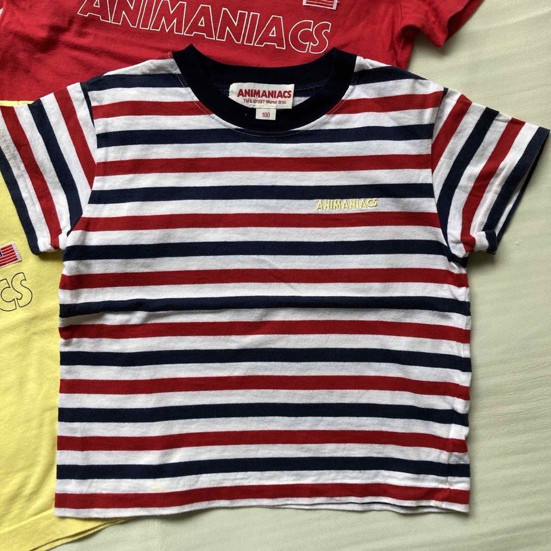 ANIMANIACS  子供服　キッズ　シャツ　100cm キッズ/ベビー/マタニティのキッズ服男の子用(90cm~)(Tシャツ/カットソー)の商品写真