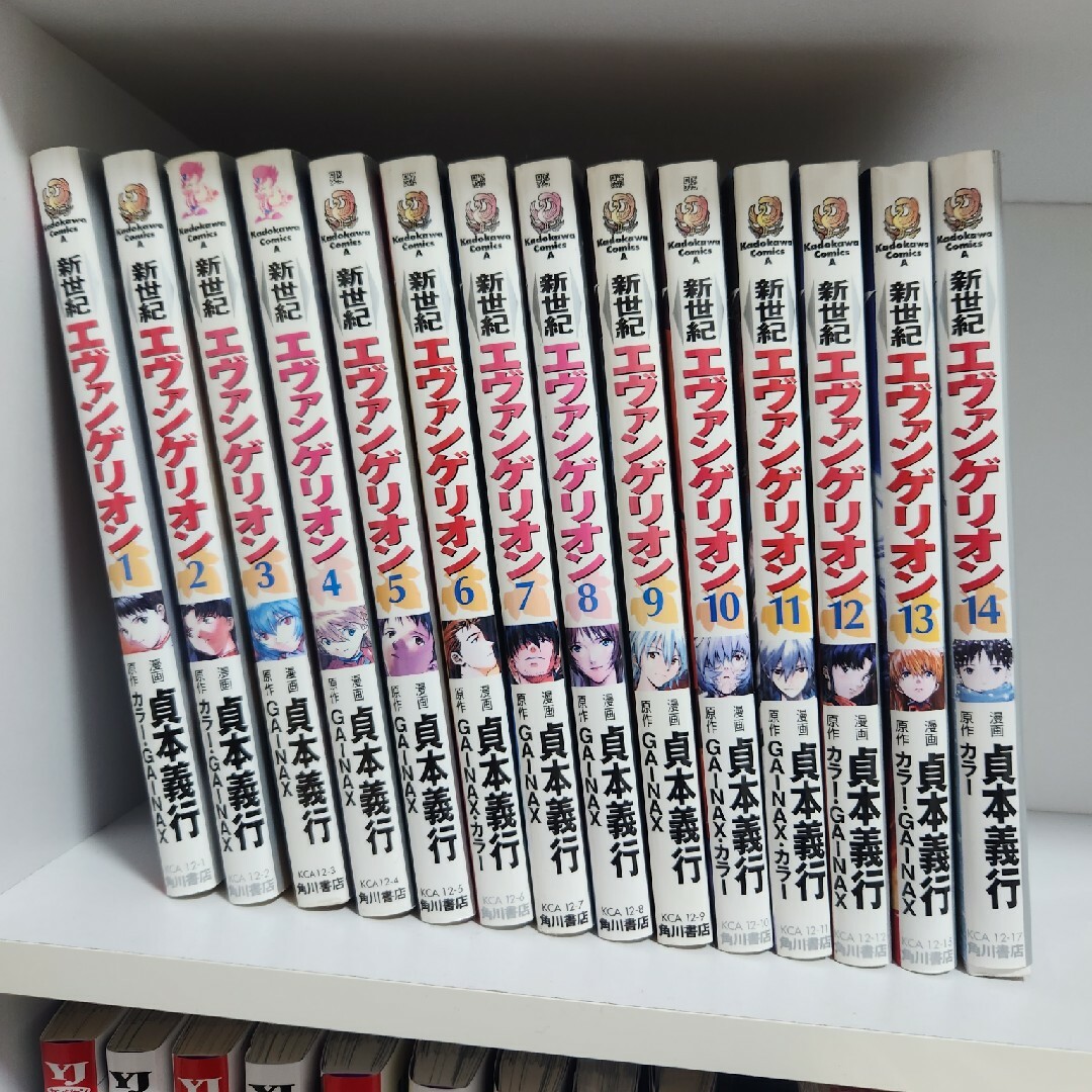 角川書店(カドカワショテン)の新世紀エヴァンゲリオン全巻セット(1-14巻) エンタメ/ホビーの漫画(その他)の商品写真