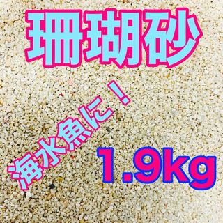 天然珊瑚砂 1.9kg さんご砂 サンゴ砂 ろ材 海水水槽 ヤドカリ グッピー(アクアリウム)