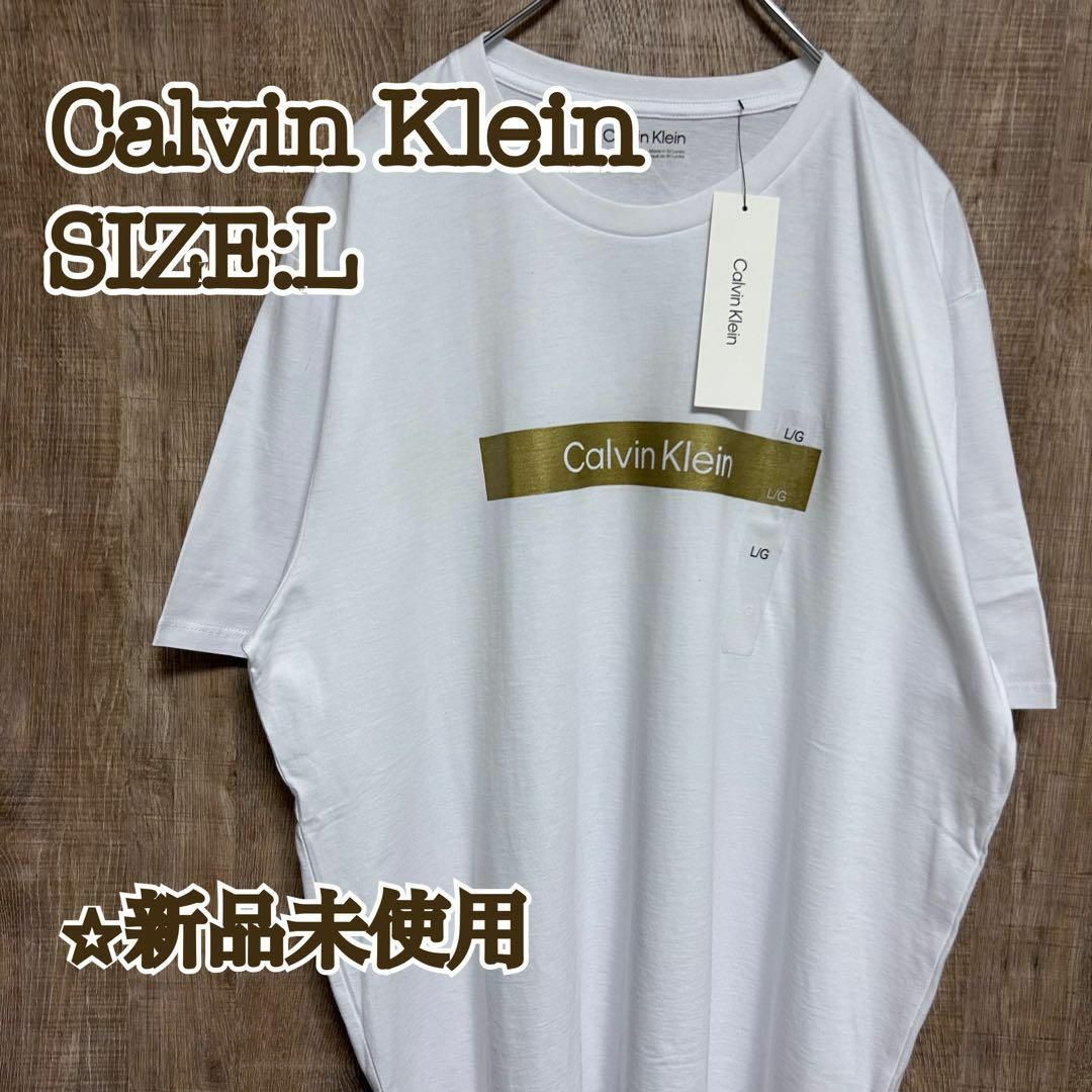 Calvin Klein(カルバンクライン)の【新品】Calvin Klein カルバンクライン　Tシャツ　ボックスロゴ　L メンズのトップス(Tシャツ/カットソー(半袖/袖なし))の商品写真