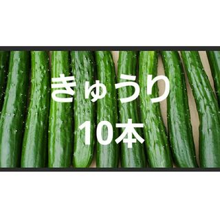 きゅうり10本(野菜)