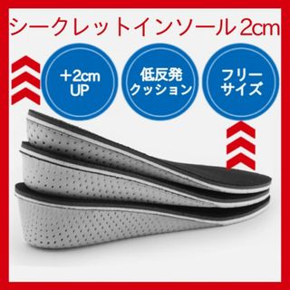 2cm UP シークレットインソール 中敷き 身長アップ 　318(その他)