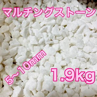 マルチングストーン 白 1.9kg 化粧砂 多肉植物(その他)