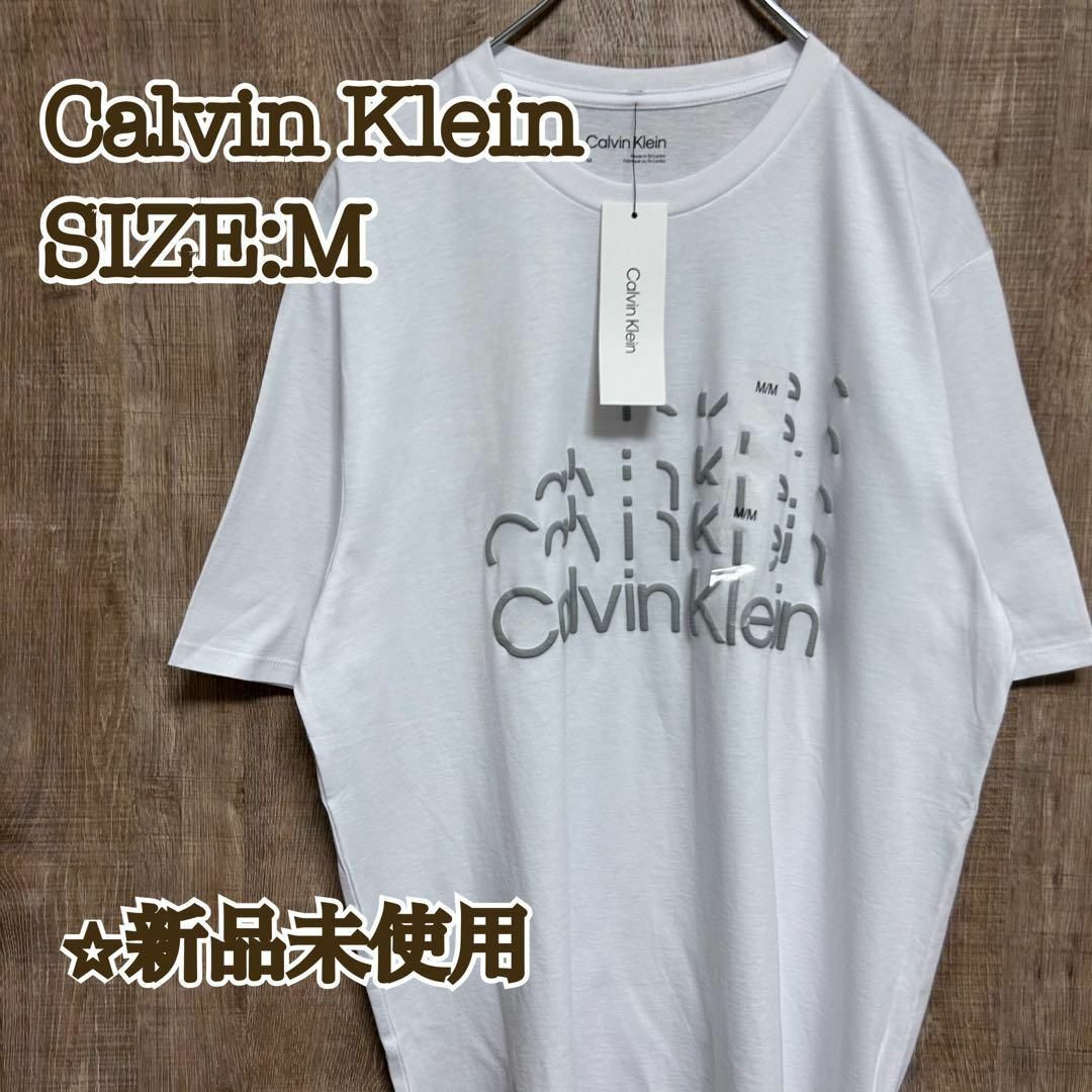 Calvin Klein(カルバンクライン)の【新品】Calvin Klein カルバンクライン　Tシャツ　スキップロゴ　M メンズのトップス(Tシャツ/カットソー(半袖/袖なし))の商品写真