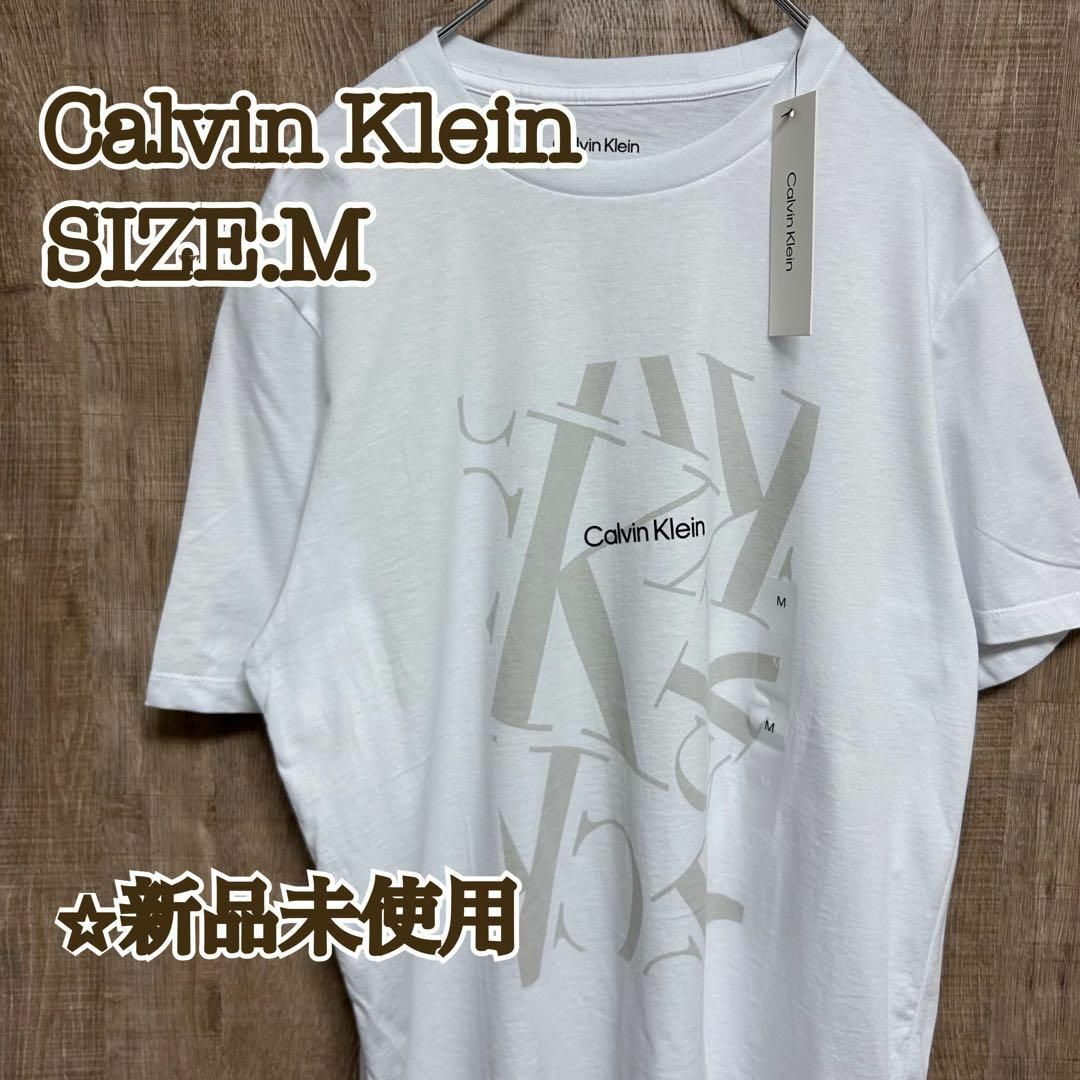 Calvin Klein(カルバンクライン)の【新品】Calvin Klein カルバンクライン　Tシャツ　モノグラムロゴ　M メンズのトップス(Tシャツ/カットソー(半袖/袖なし))の商品写真