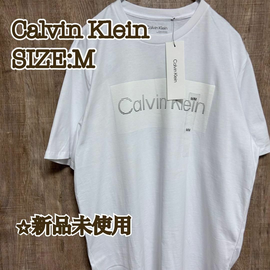 Calvin Klein(カルバンクライン)の【新品】Calvin Klein カルバンクライン　Tシャツ　グリッドロゴ　M メンズのトップス(Tシャツ/カットソー(半袖/袖なし))の商品写真