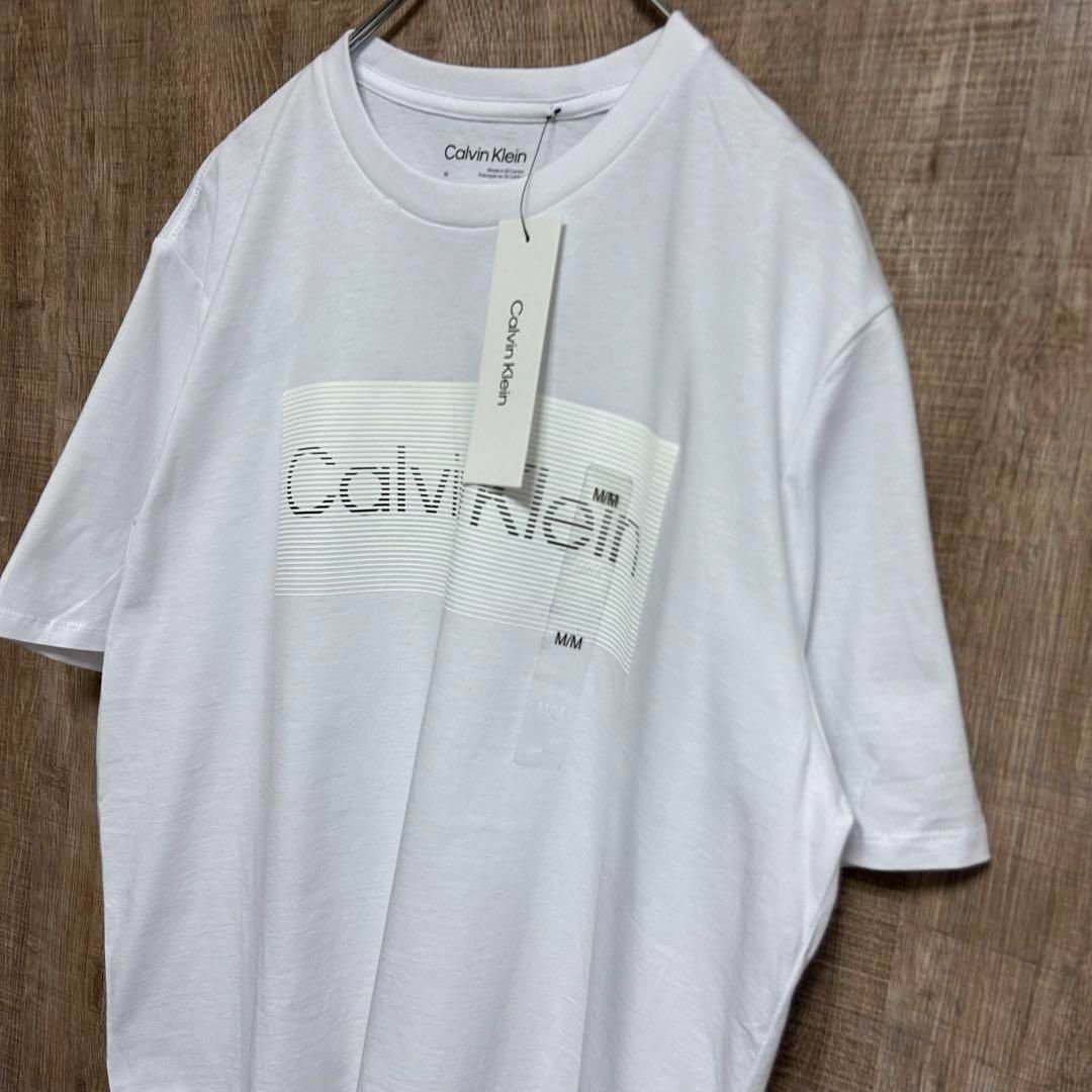 Calvin Klein(カルバンクライン)の【新品】Calvin Klein カルバンクライン　Tシャツ　グリッドロゴ　M メンズのトップス(Tシャツ/カットソー(半袖/袖なし))の商品写真