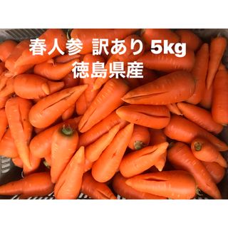 春人参　訳ありW 5kg 徳島県産(野菜)