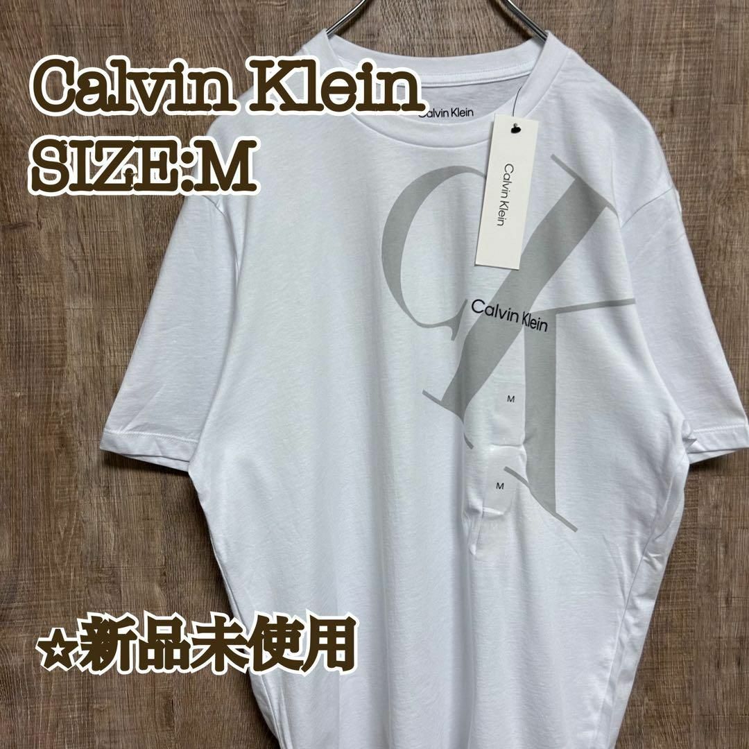 Calvin Klein(カルバンクライン)の【新品】Calvin Klein カルバンクライン　Tシャツ　ビッグロゴ　M メンズのトップス(Tシャツ/カットソー(半袖/袖なし))の商品写真