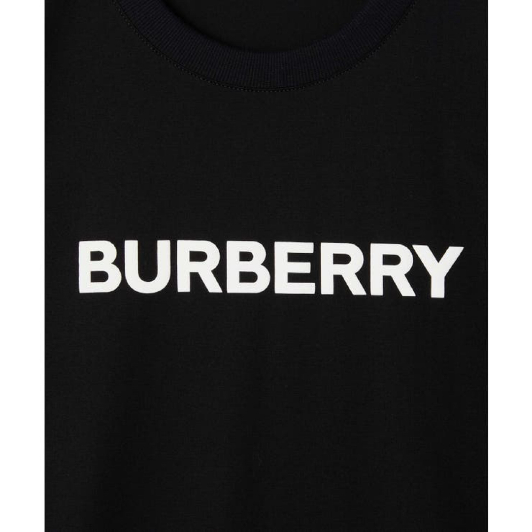 BURBERRY(バーバリー)のバーバリー メンズ 半袖 Tシャツ トップス Lサイズ 8055307 メンズのトップス(Tシャツ/カットソー(半袖/袖なし))の商品写真