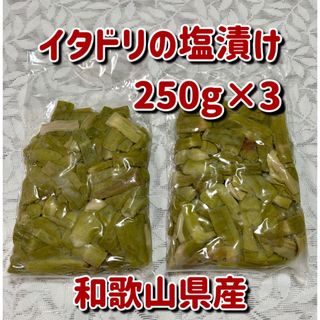 イタドリの塩漬け 250g×3(野菜)