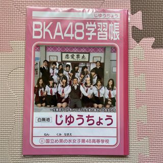 【新品未使用】AKB48 BKA48ノート(アイドルグッズ)