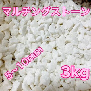 マルチングストーン 白 3kg 化粧砂 多肉植物(その他)