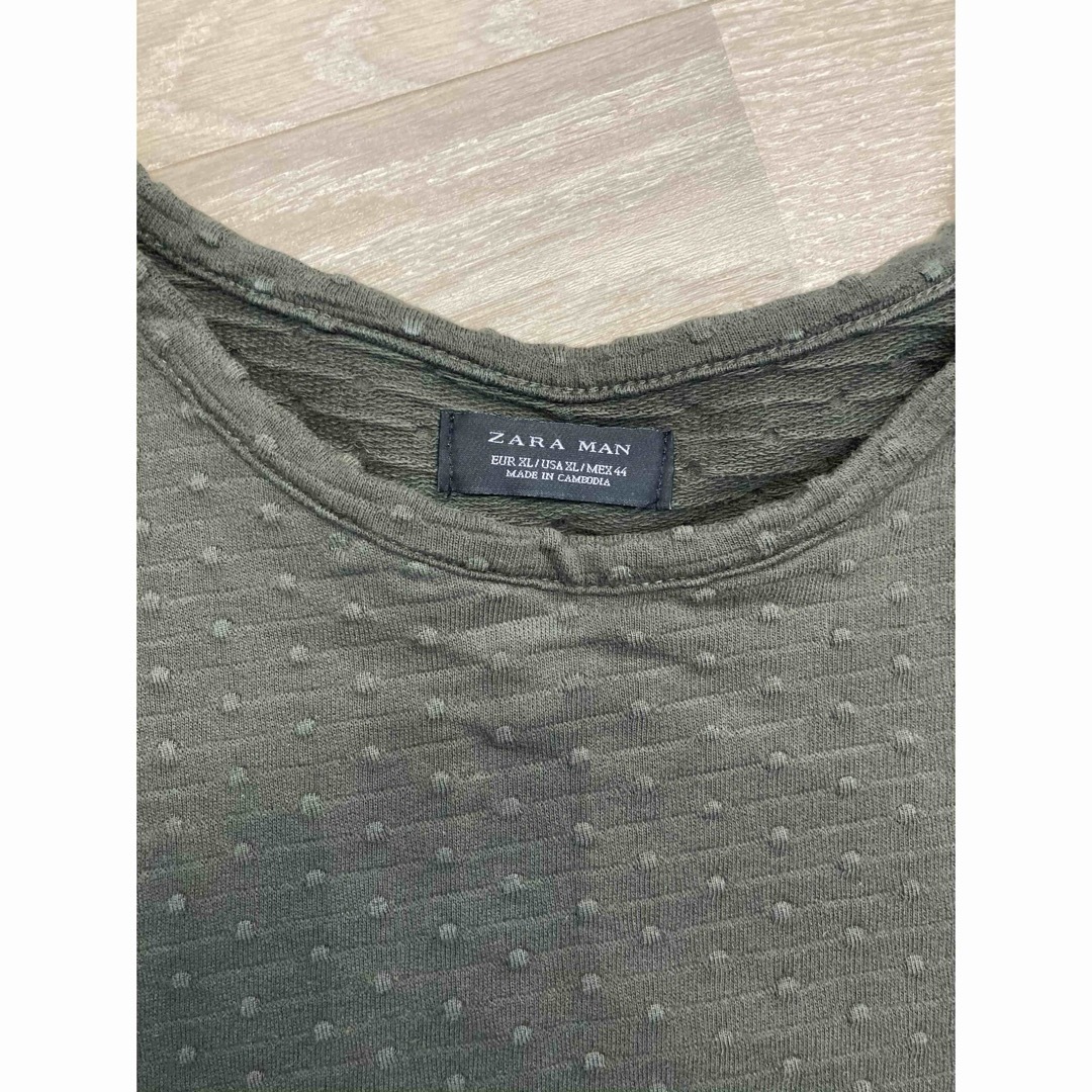 ZARA(ザラ)のZARA オーストリッチ柄 Tシャツ メンズのトップス(Tシャツ/カットソー(半袖/袖なし))の商品写真