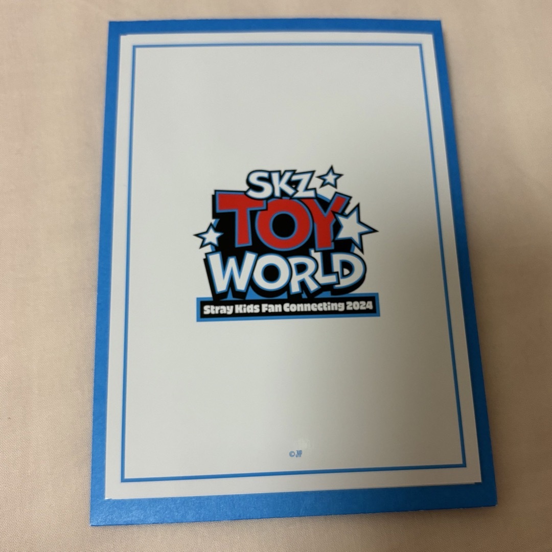 Stray Kids(ストレイキッズ)のスキズ　TOY WORLD  ラントレ　アイエン エンタメ/ホビーのタレントグッズ(アイドルグッズ)の商品写真