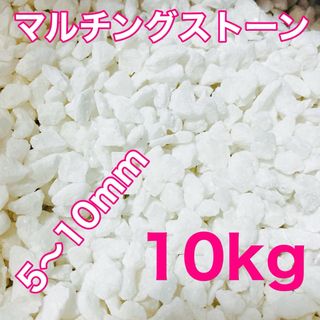 マルチングストーン 白 10kg 化粧砂 多肉植物(その他)