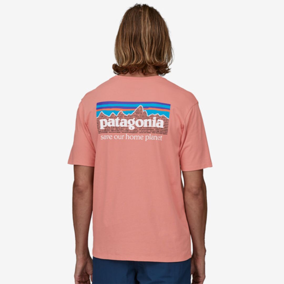 patagonia(パタゴニア)の訳あり　patagonia Tシャツ L Mission Organic ピンク メンズのトップス(Tシャツ/カットソー(半袖/袖なし))の商品写真