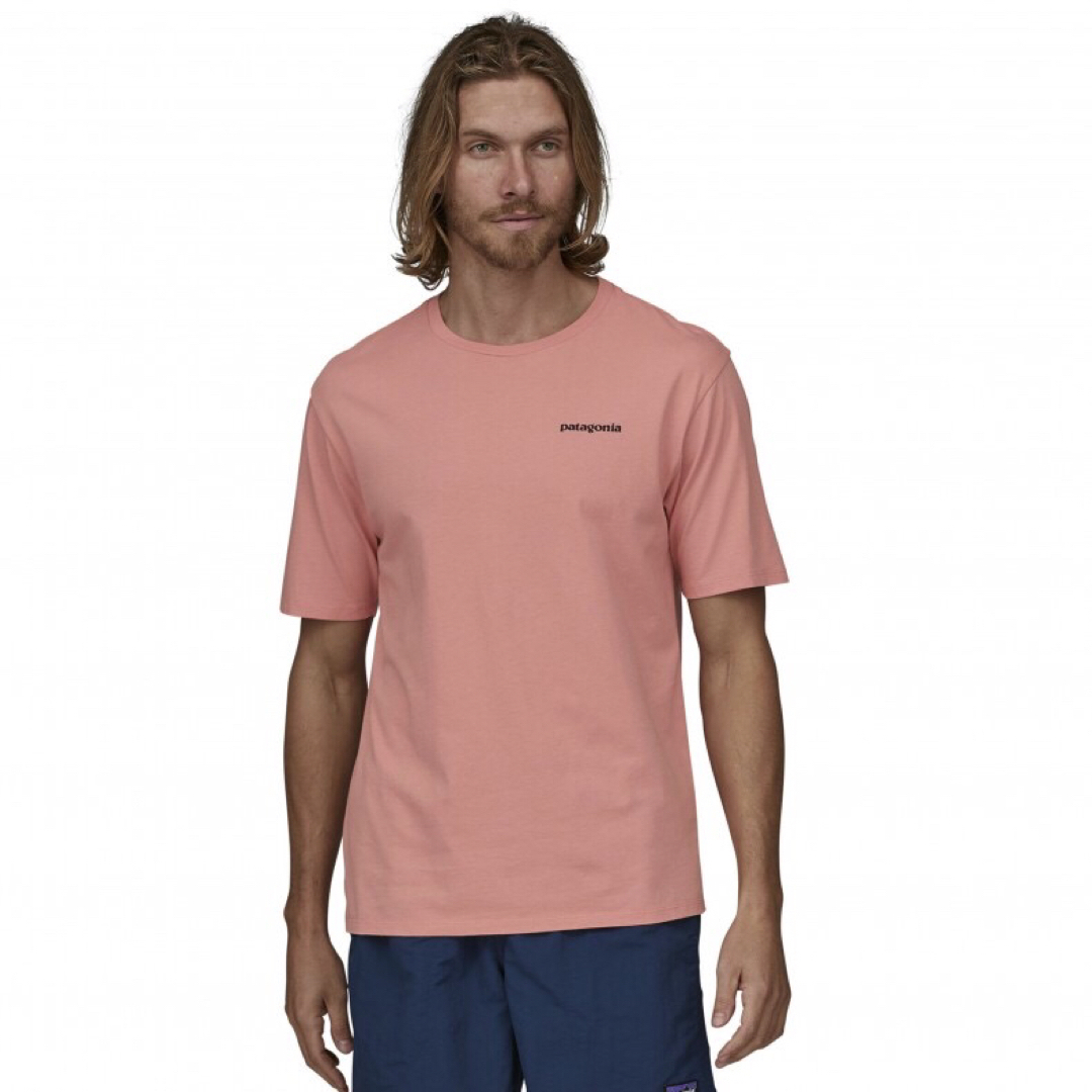 patagonia(パタゴニア)の訳あり　patagonia Tシャツ L Mission Organic ピンク メンズのトップス(Tシャツ/カットソー(半袖/袖なし))の商品写真