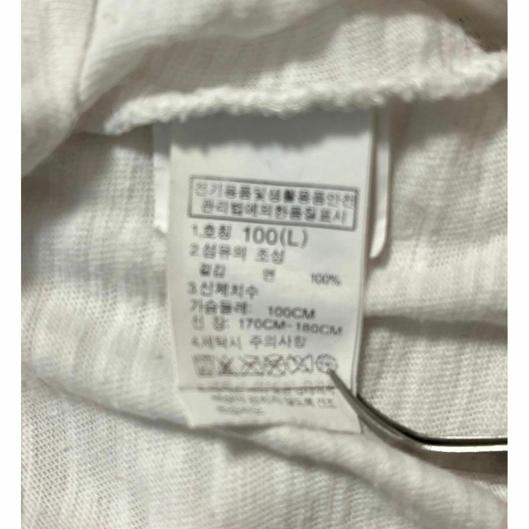 THE NORTH FACE(ザノースフェイス)のノースフェイス North Face Tシャツ メンズ L バックプリント メンズのトップス(Tシャツ/カットソー(半袖/袖なし))の商品写真