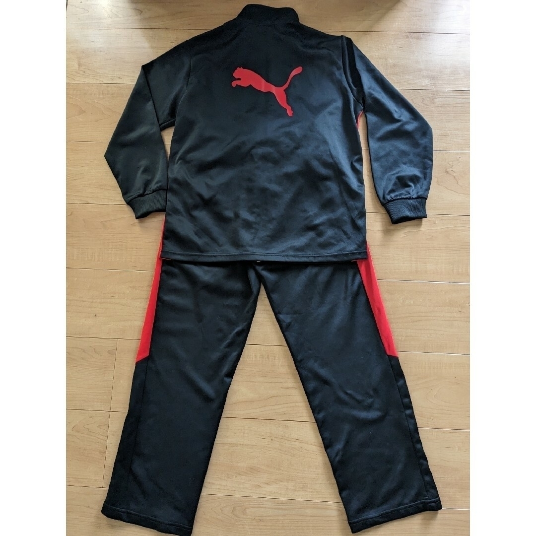 PUMA(プーマ)のプーマ　ジャージ　150 キッズ/ベビー/マタニティのキッズ服男の子用(90cm~)(その他)の商品写真