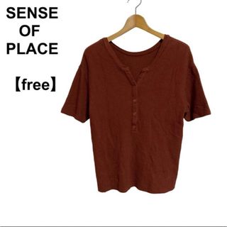 SENSE OF PLACE by URBAN RESEARCH - 【古着】レディース SENSEofPLACE 半袖Tシャツ カットソー