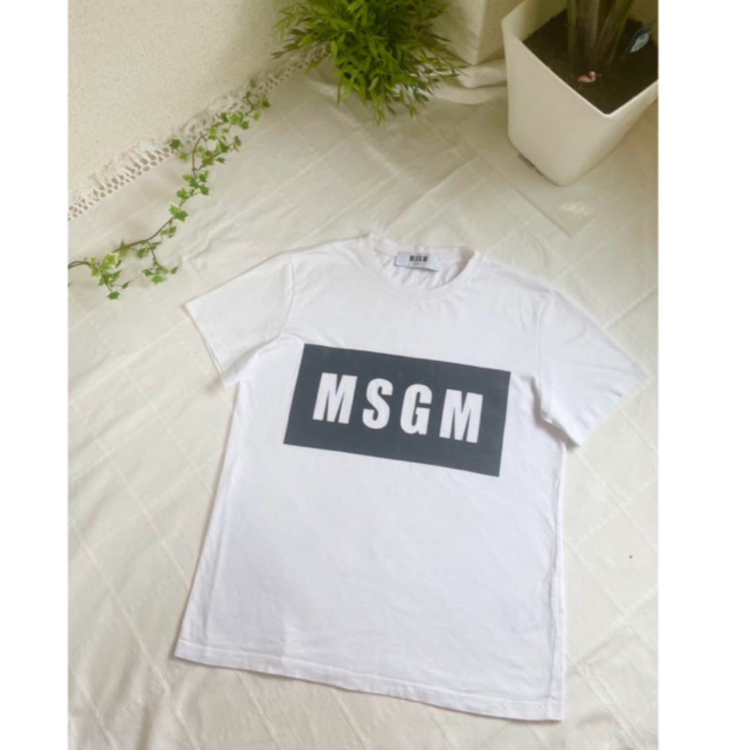 MSGM(エムエスジイエム)の【人気】定価¥15,000 MSGM Tシャツ 半袖 レディースのトップス(Tシャツ(半袖/袖なし))の商品写真