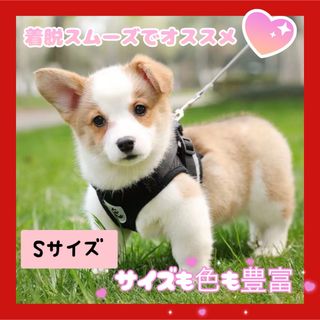 ハーネス リード(犬)