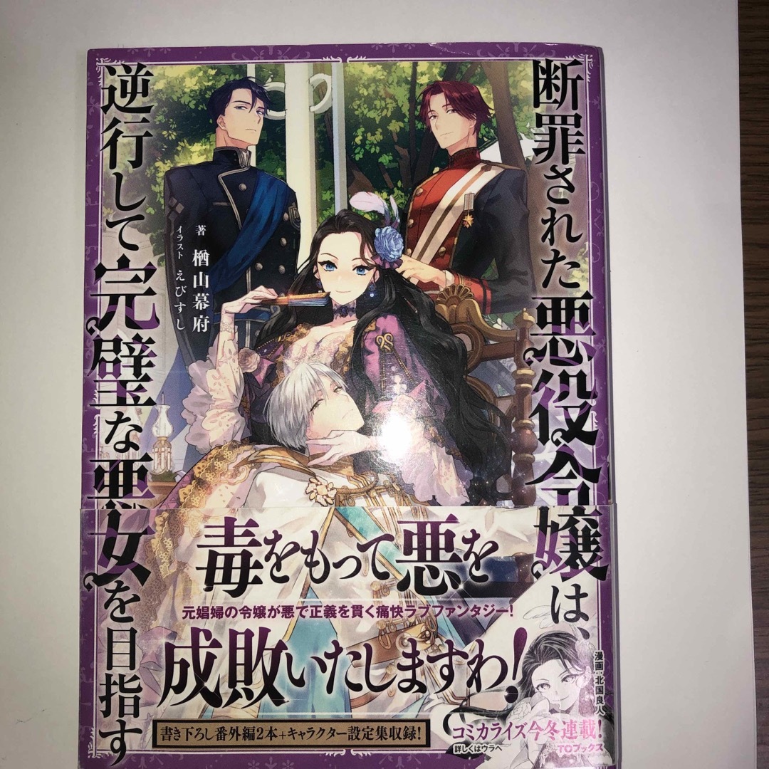 イサイサ様専用　断罪された悪役令嬢は、逆行して完璧な悪女を目指す エンタメ/ホビーの本(文学/小説)の商品写真