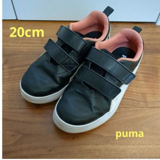 プーマ(PUMA)のPUMA キッズ用 スニーカー 20cm 男の子 女の子(スニーカー)