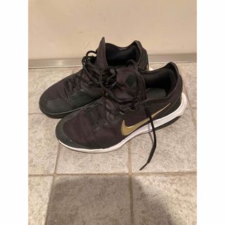 ナイキ(NIKE)のNIKE テニスシューズ(スニーカー)