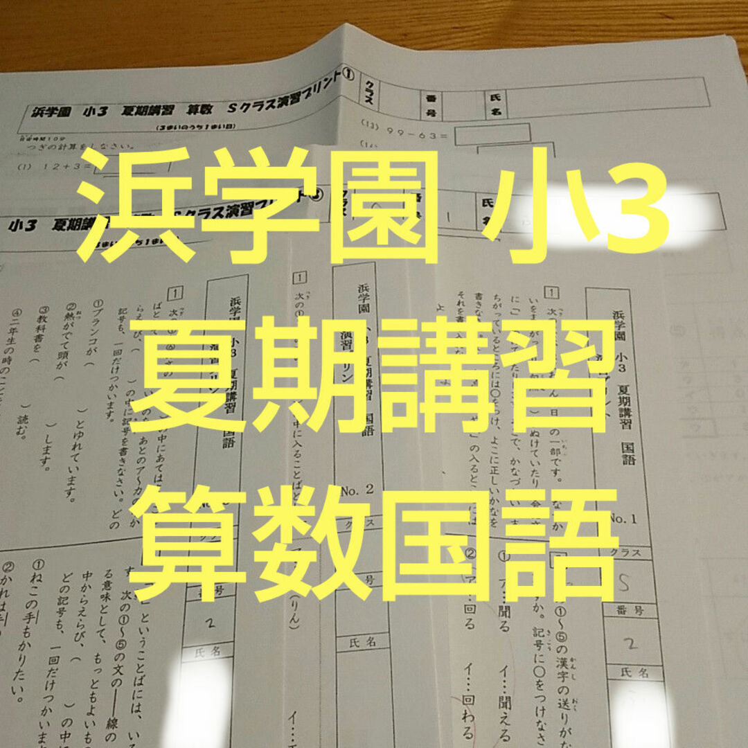 浜学園 小3 夏期講習 復習テスト エンタメ/ホビーの本(語学/参考書)の商品写真