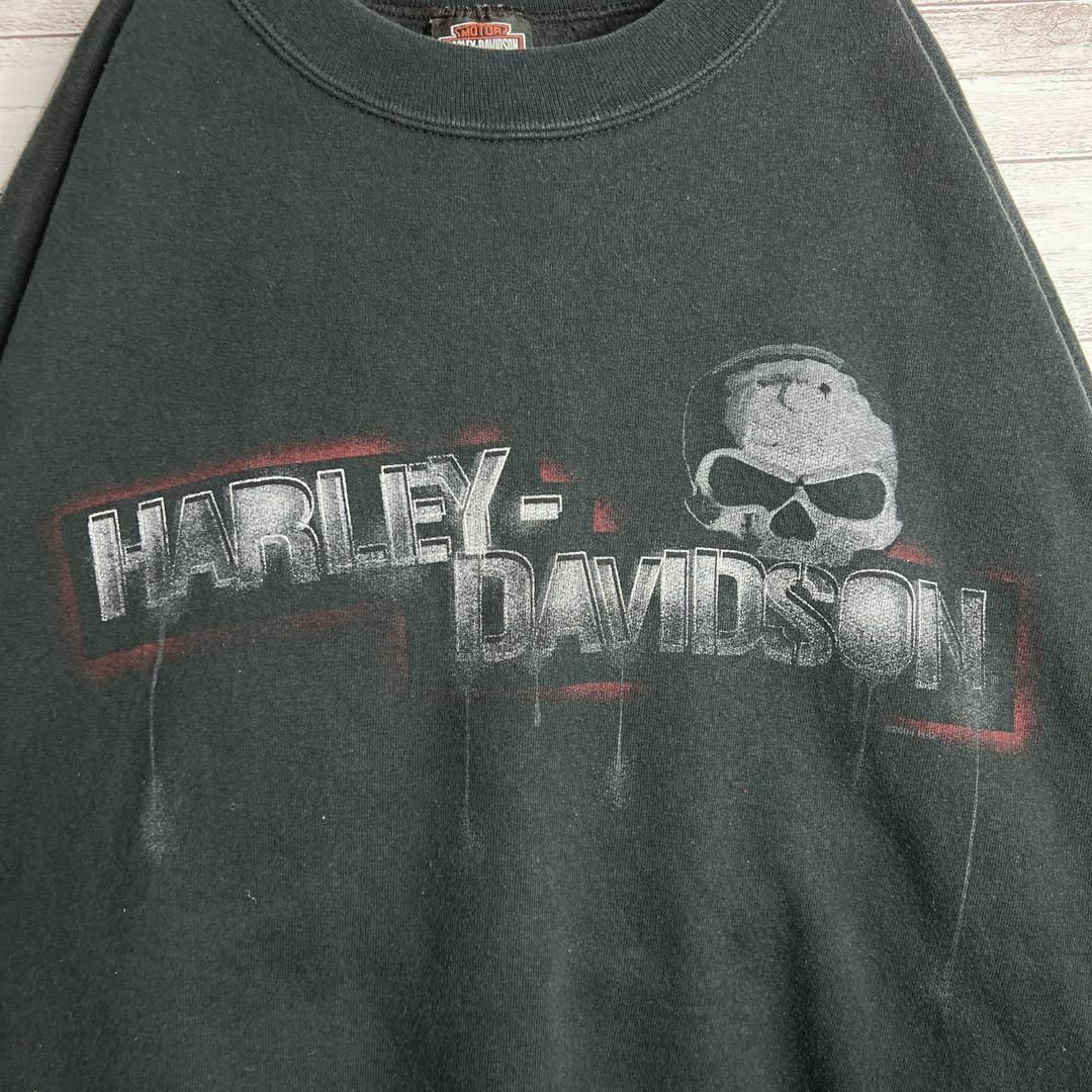 Harley Davidson(ハーレーダビッドソン)の【入手困難!!】ハーレーダビッドソン ✈︎バックプリント ゆるだぼ トレーナー メンズのトップス(スウェット)の商品写真