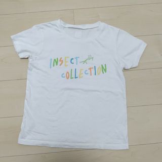 INSECT　COLLECTION - 良品 インセクトコレクション カマキリ Ｔシャツ 140-150