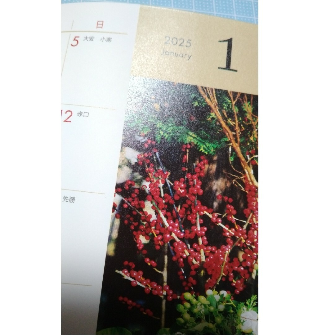 オレンジページ　付録　カレンダー手帳 エンタメ/ホビーのアニメグッズ(その他)の商品写真