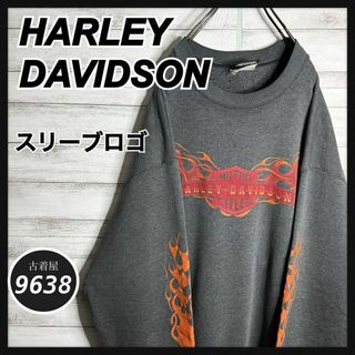 ハーレーダビッドソン(Harley Davidson)の【入手困難!!】ハーレーダビッドソン ✈︎スリーブロゴ ファイヤーパターン(スウェット)