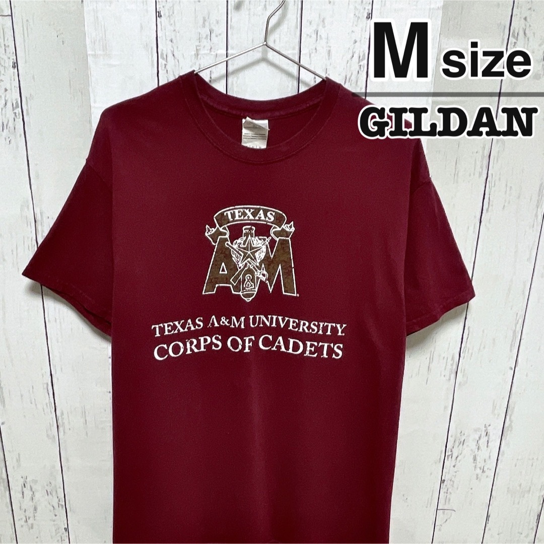 GILDAN(ギルタン)のUSA古着　GILDAN　Tシャツ　M　ワインレッド　ボルドー　赤　カレッジロゴ メンズのトップス(Tシャツ/カットソー(半袖/袖なし))の商品写真