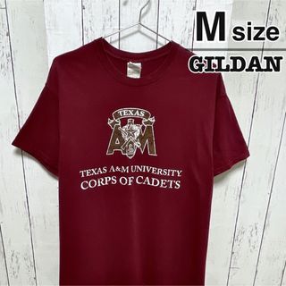 ギルタン(GILDAN)のUSA古着　GILDAN　Tシャツ　M　ワインレッド　ボルドー　赤　カレッジロゴ(Tシャツ/カットソー(半袖/袖なし))