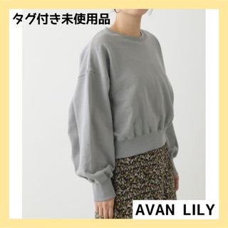 アバンリリー(Avan Lily)のAVANLILY アヴァンリリィ　カラースウェットプルオーバー　トップス　春服(トレーナー/スウェット)