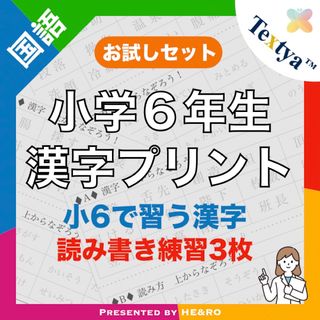 小学6年生漢字練習プリントお試し｜6ページ｜読み書き学習★漢検・漢字テスト対策に(語学/参考書)