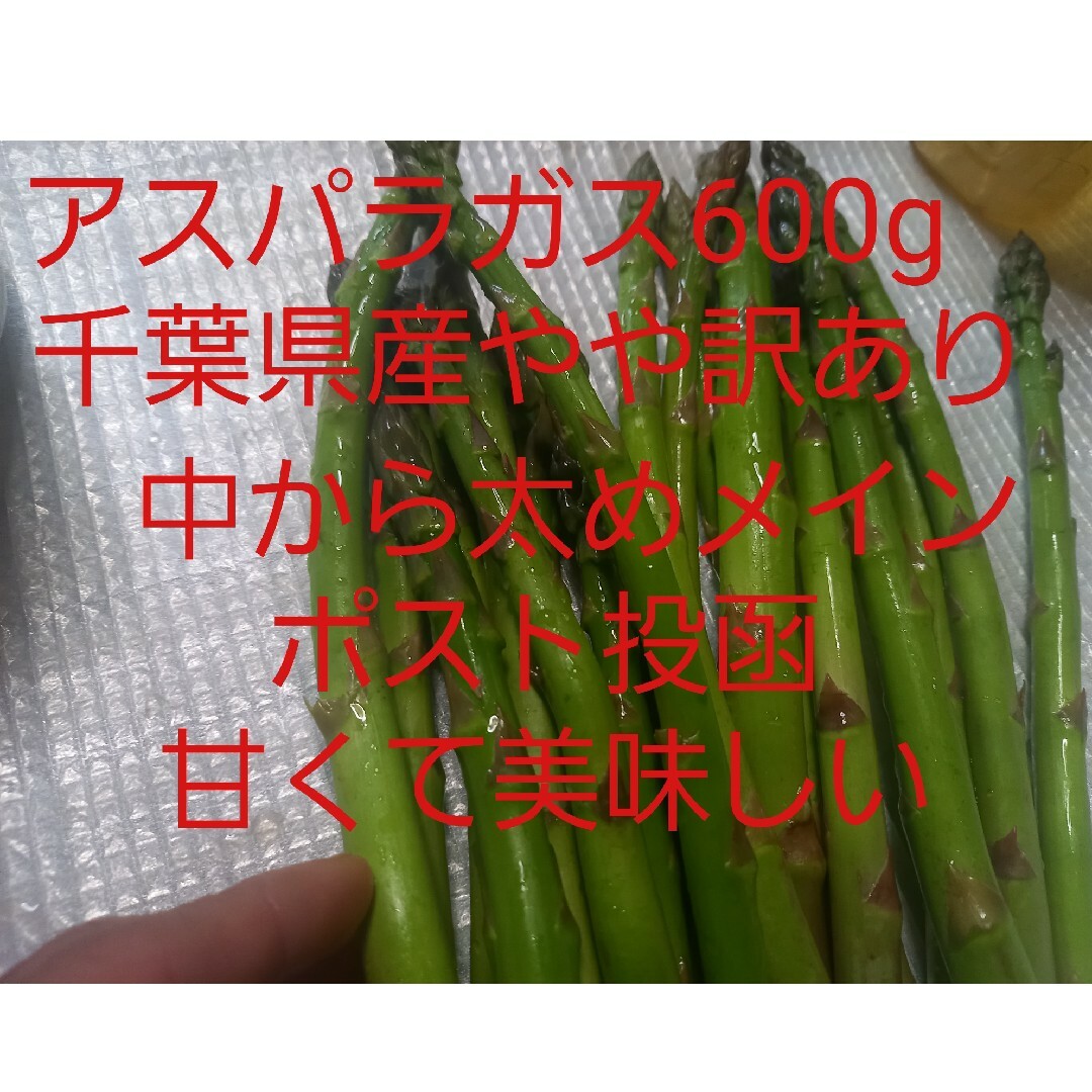 千葉県産　アスパラガス600g　中から太めメイン　M L 2L　やや訳あり 食品/飲料/酒の食品(野菜)の商品写真